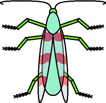 generierter Käfer