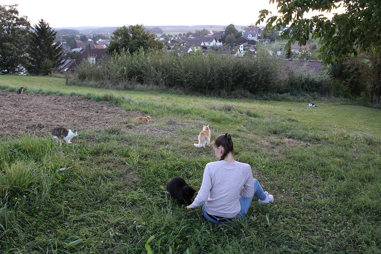 Frau mit Katzen auf Wiese