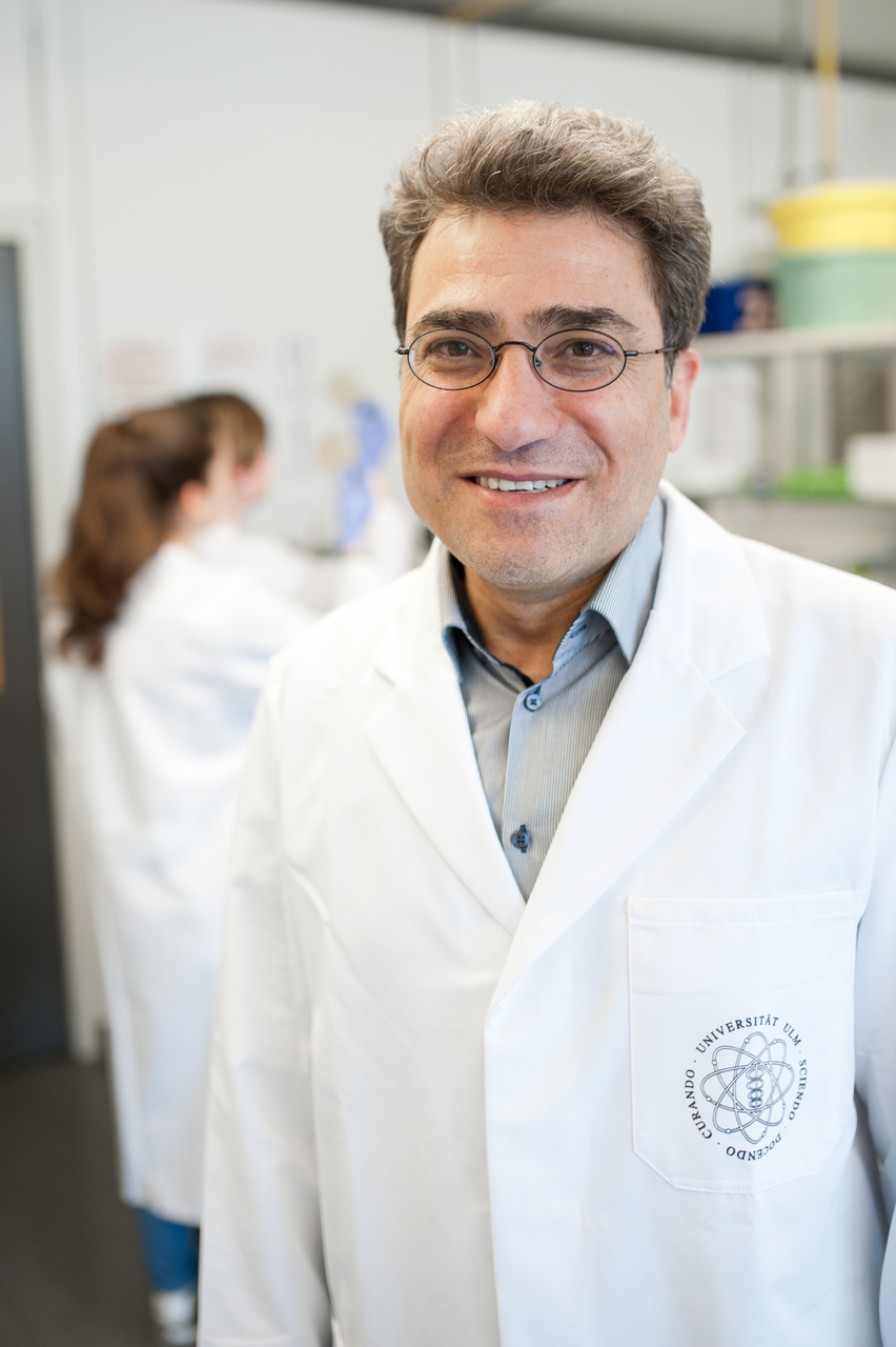 Prof. Hassan Jumaa, Insitut für Immunologie, Universität Ulm