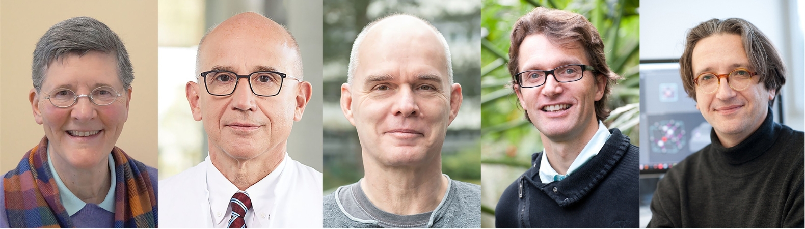 The Highly Cited Researchers of Ulm University 2024: Dr Dr Kelly Del Tredici and Profs. Hartmut Döhner, Frank Kirchhoff, Steven Jansen and Fedor Jelezko