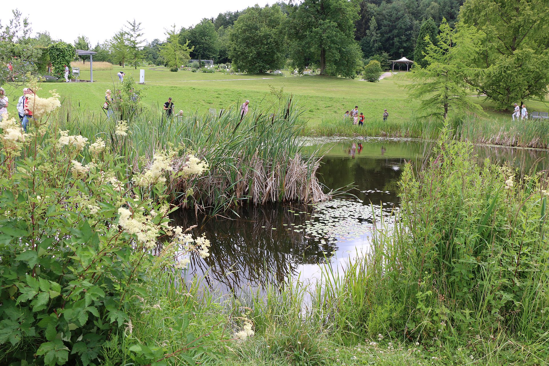 Teich im Botanischen Garten der Uni Ulm