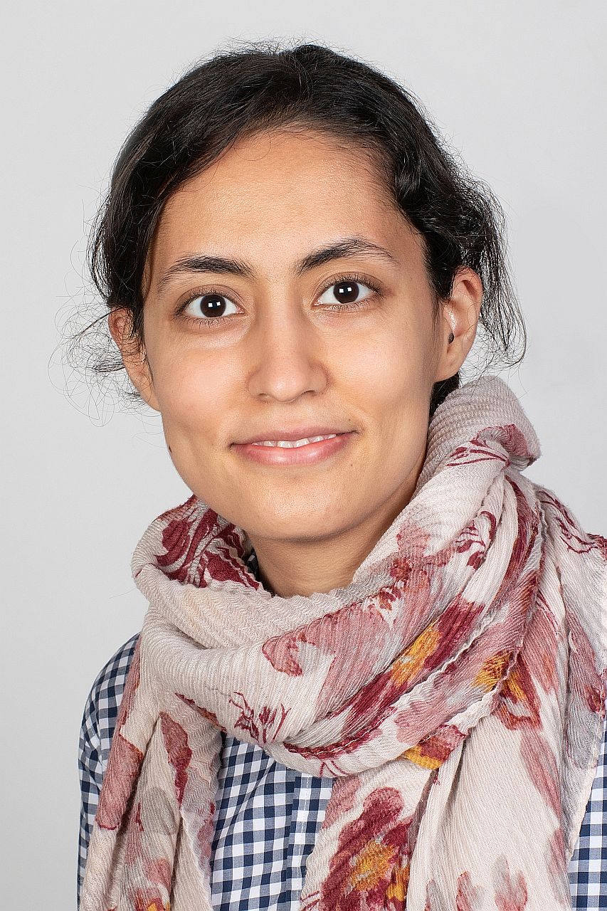Mina Assarzadeh Mina Assarzadeh
