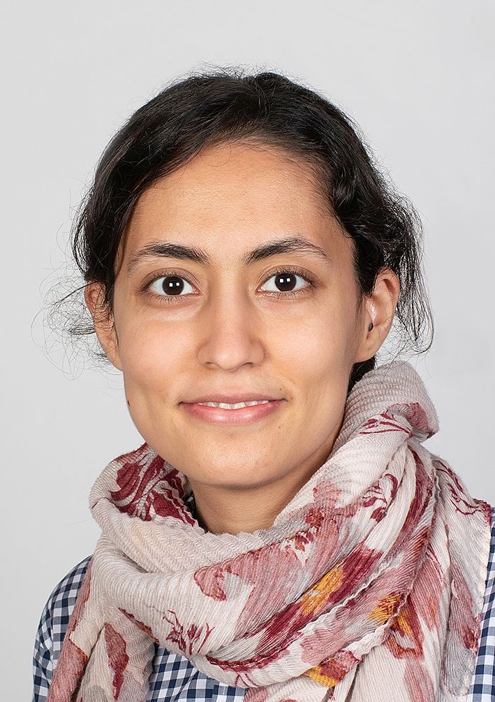 Mina Assarzadeh Mina Assarzadeh