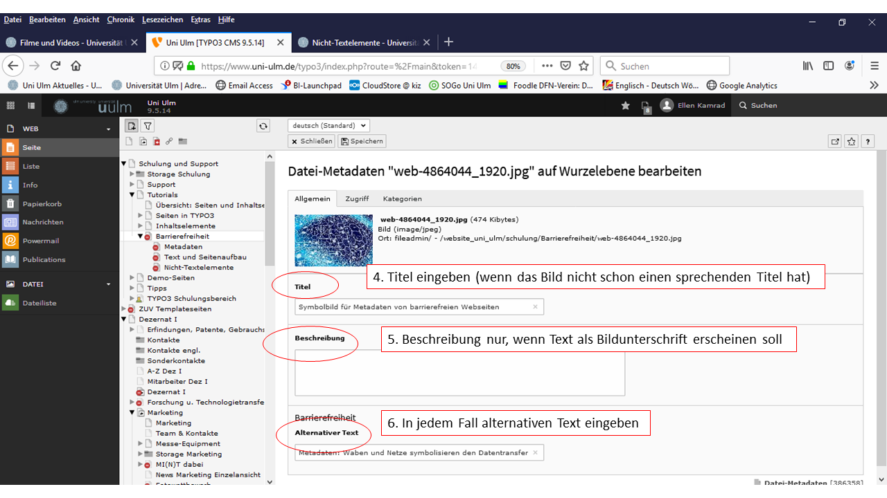 Screenshot aus dem TYPO3-Backend zeigt wie man Bilder und Grafiken barrierefrei macht Teil 2