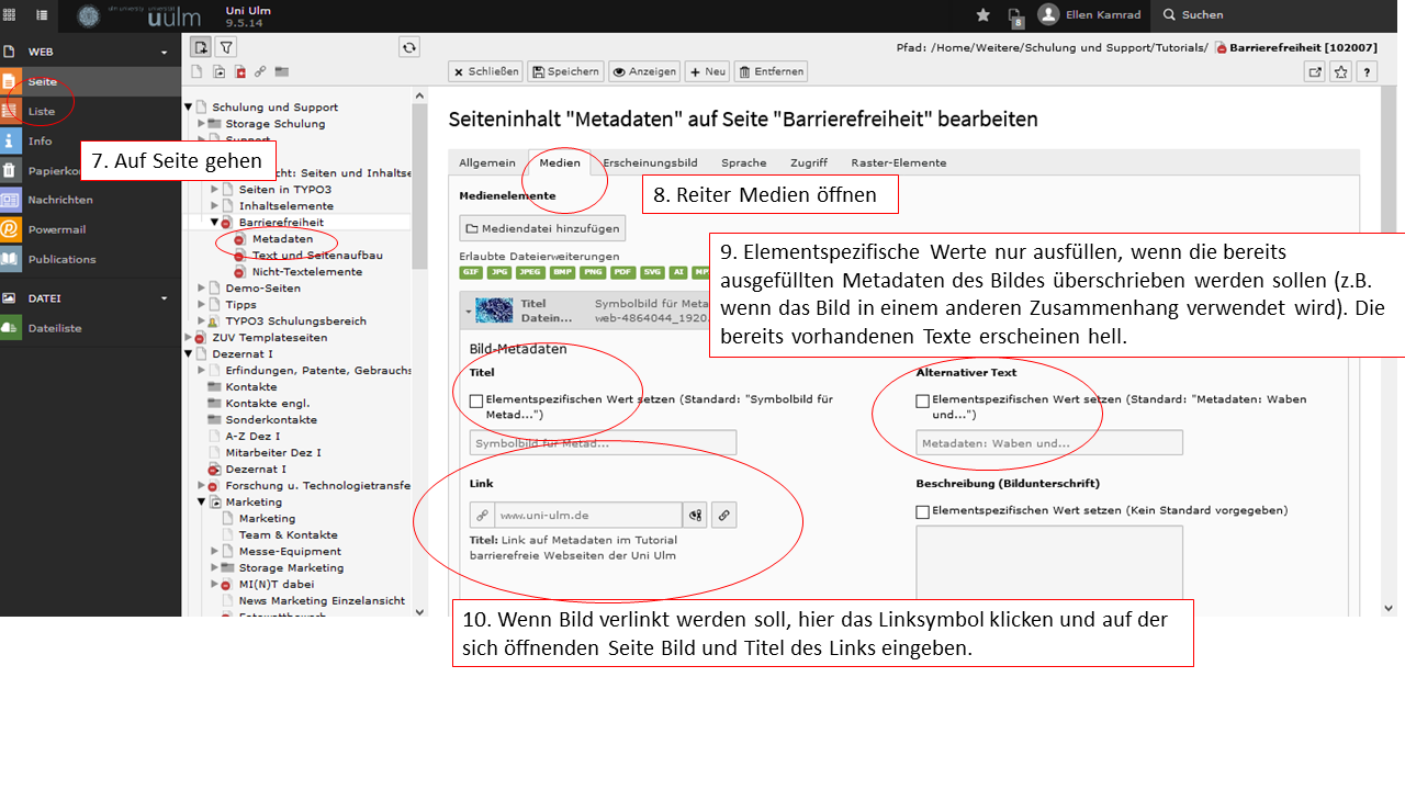 Screenshot aus dem TYPO3-Backend zeigt wie man Bilder und Grafiken barrierefrei macht Teil 3