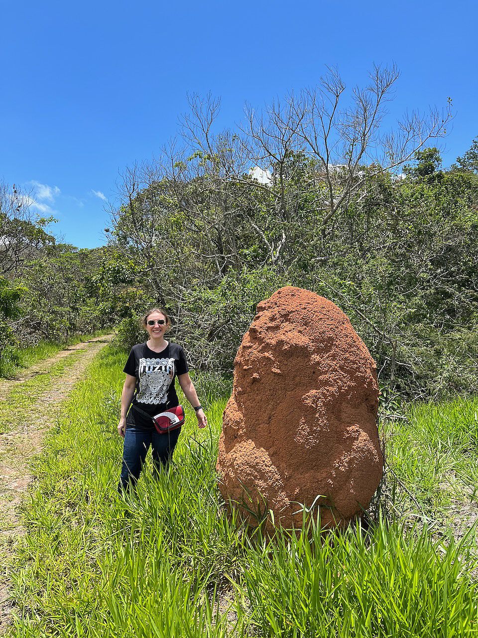 08.07.2024 - Photosynthese, Tropenwälder und der  Globaler Kohlenstoffkreislauf