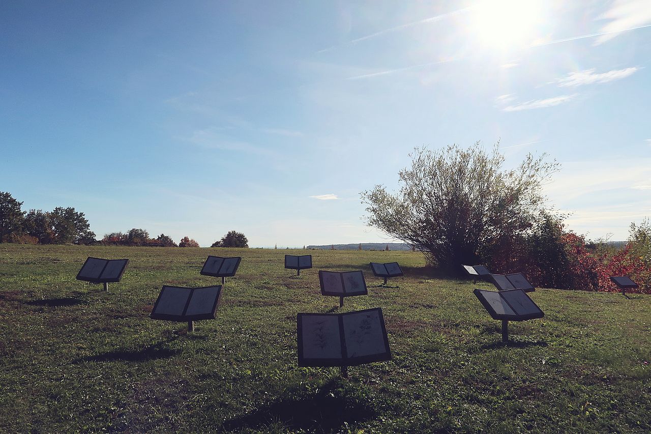 Bücherskulpturen im Gras am Weg der Universität Ulm West