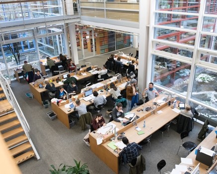 Studierende in der Bibliothek