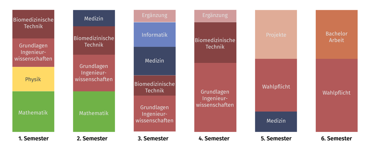 Studienaufbau