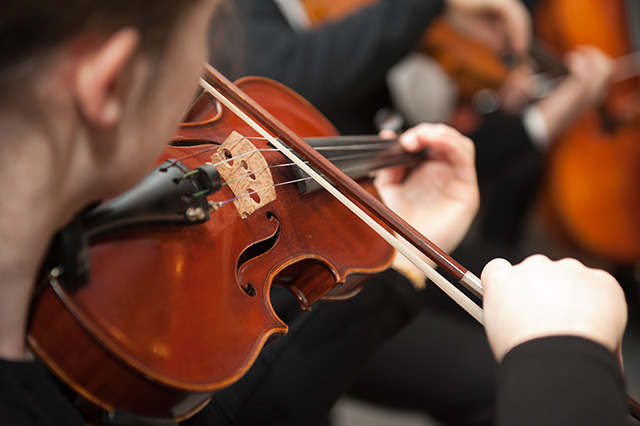 Violinist