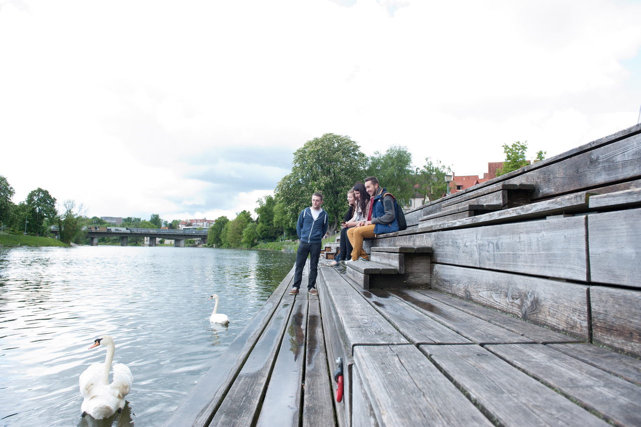 Studenten an der Donau