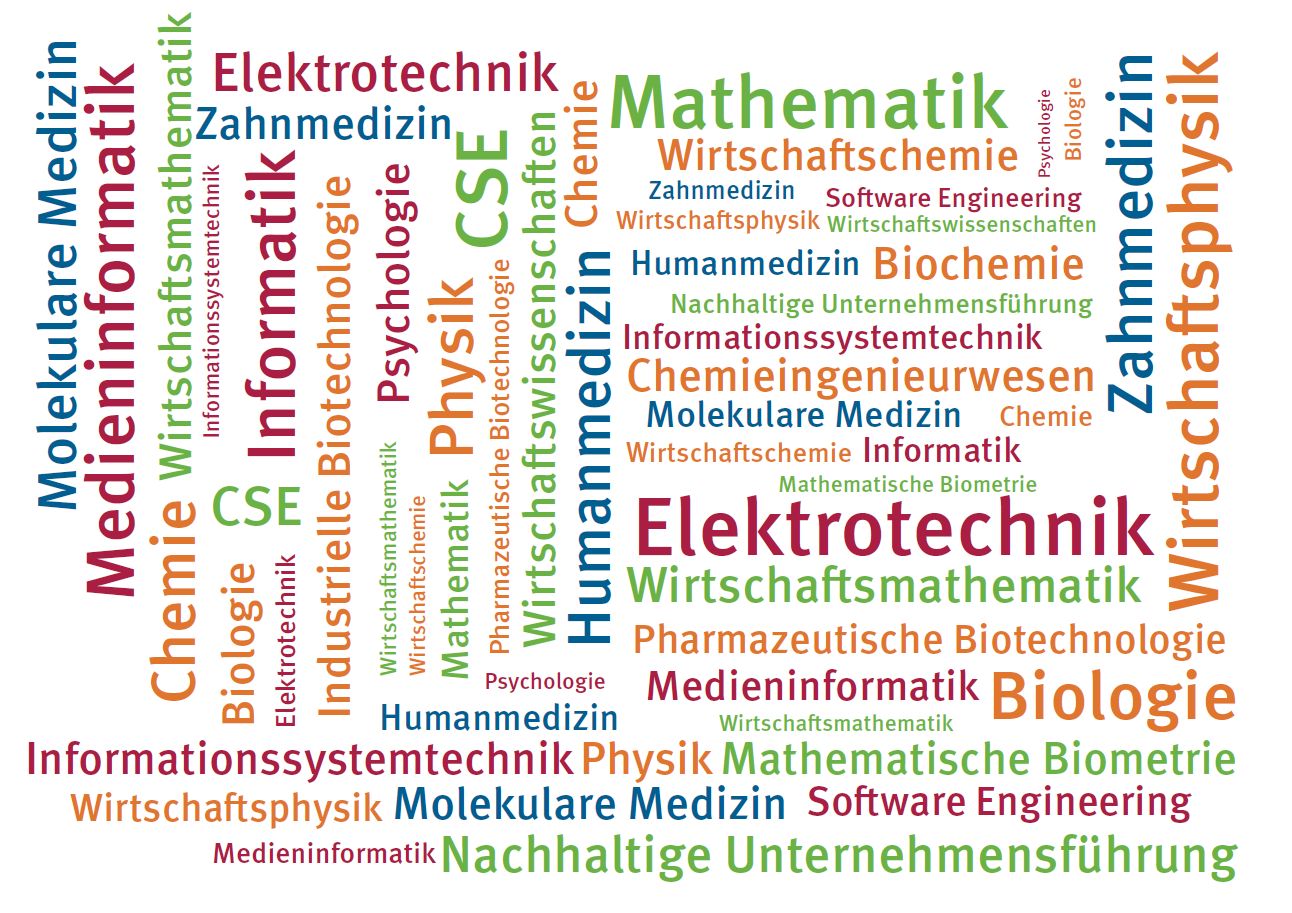 Study overview