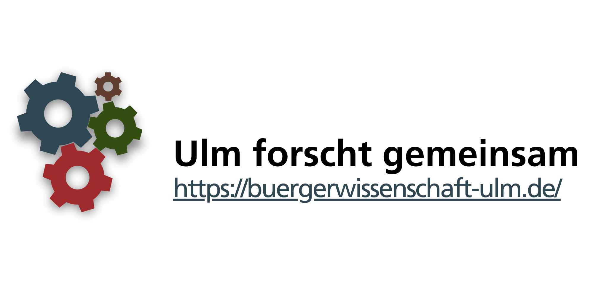 Logo Ulm forscht gemeinsame