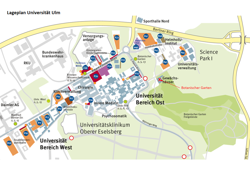 Lageplan für den Botanischen Garten