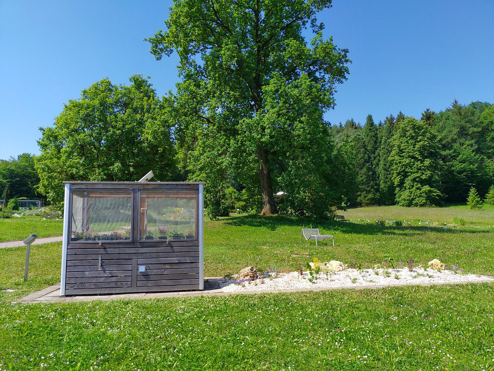 Pflanzenökologie