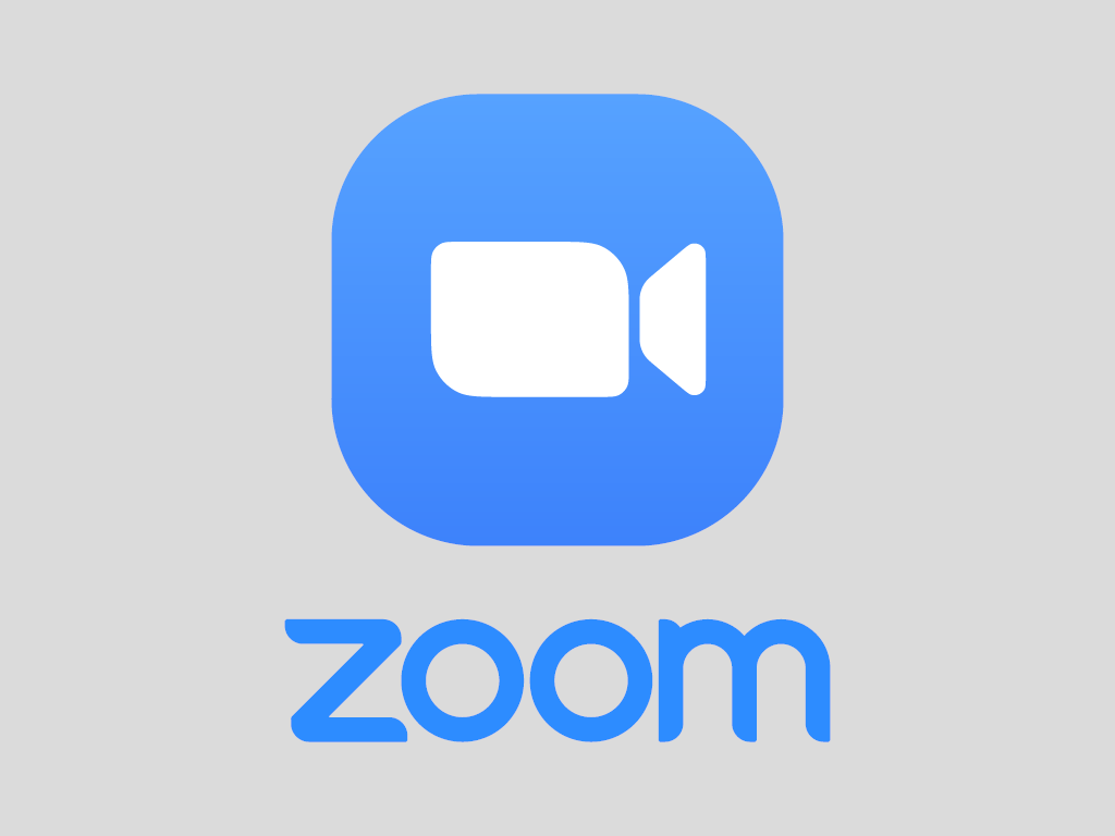 Zoom Icon