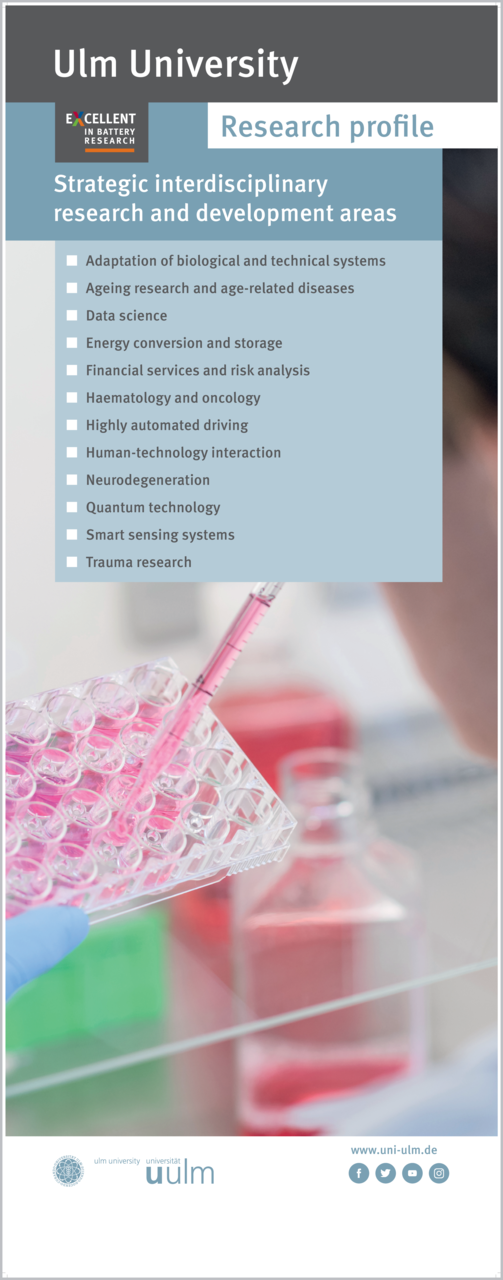 Banner mit Foto und und einer Übersicht des Forschungsprofils der Universität Ulm auf Englisch