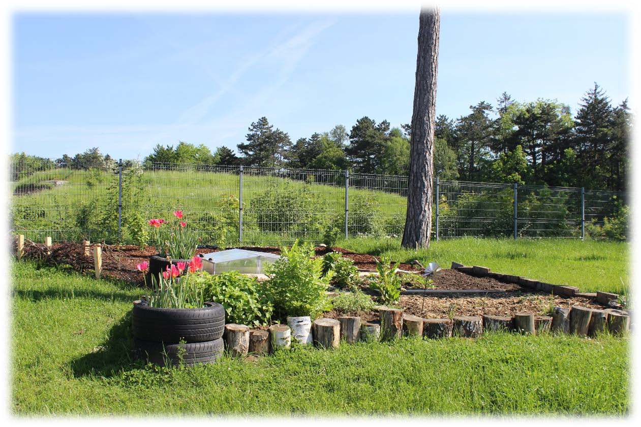 Foto vom Gartenprojekt des Kindergartens