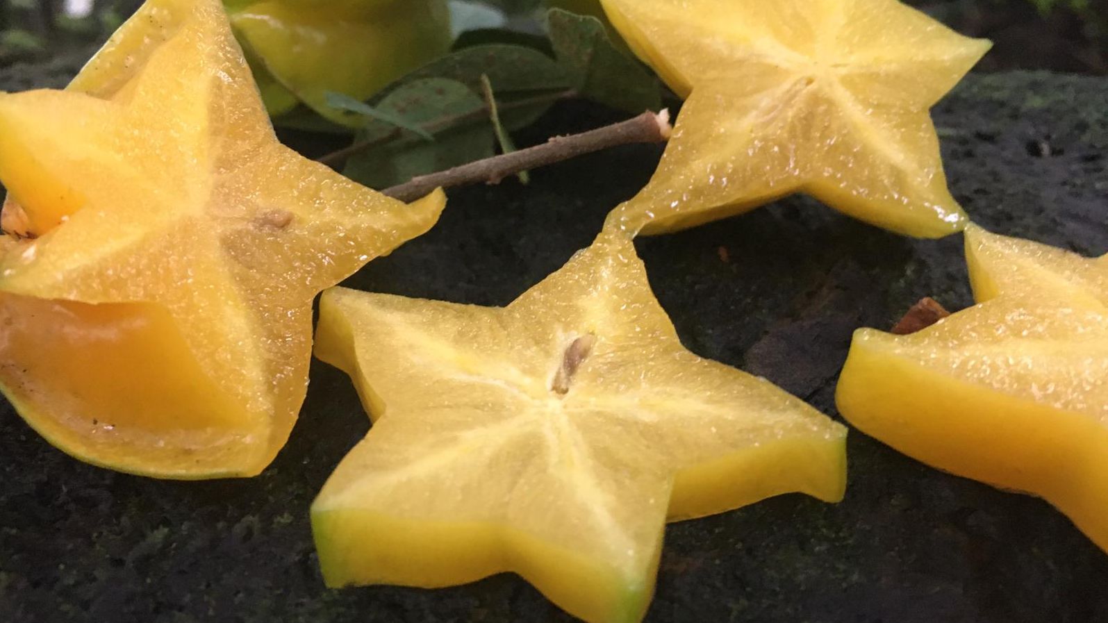 Picture of yellow exotic flowers