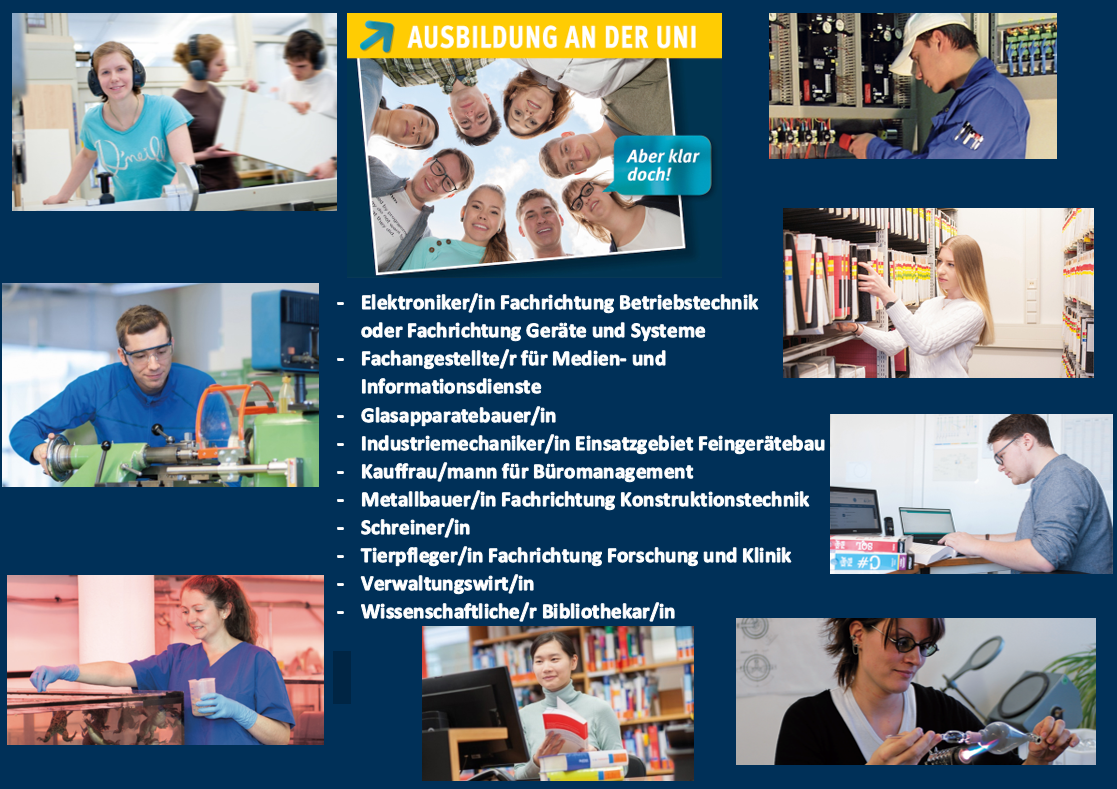 Flyer - Ausbildungsberufe an der Uni Ulm