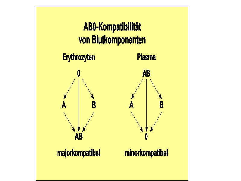Transfusionschema verschiedener Blutkomponenten